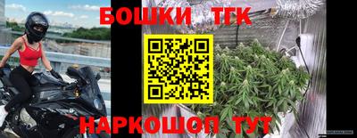 тгк Будённовск