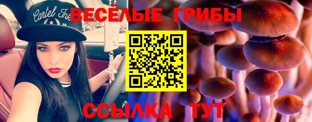 Галлюциногенные грибы Psilocybine cubensis Лабытнанги