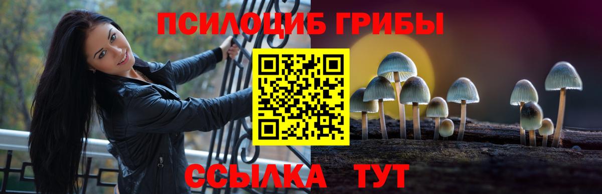 Псилоцибиновые грибы мицелий  продажа наркотиков  Вход с VPN  Лабытнанги  Псилоцибиновые грибы MAGIC MUSHROOMS 