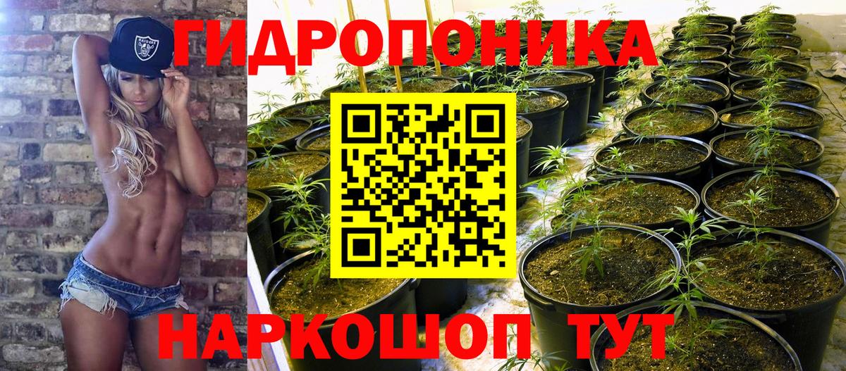 Шишки марихуана OG Kush  МАРИХУАНА сатива  Вход с VPN  Каннабис SATIVA & INDICA  Лабытнанги  Каннабис White Widow 